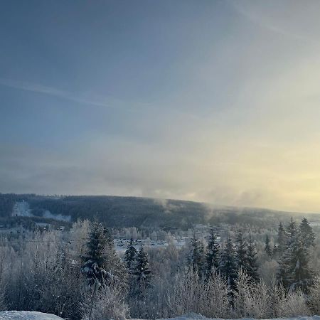 Koselig Rom I Rolige Omgivelser Amot Exterior photo